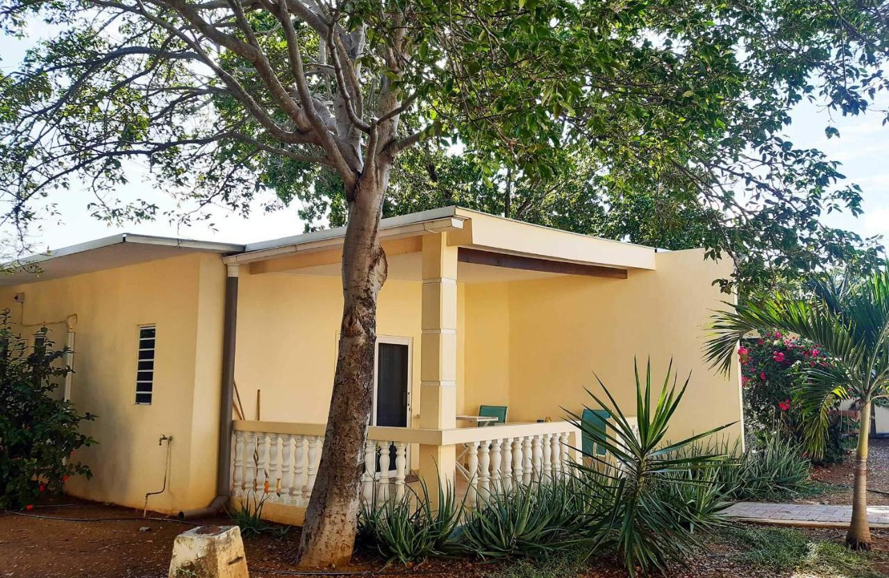 Wayaca Mini Resort Willemstad Dış mekan fotoğraf